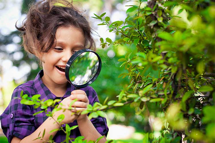 BLOGPOST_IncorporateFun06222023A.jpg