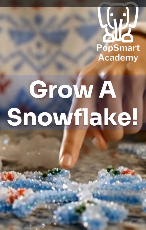 GrowSnowFlake.jpg
